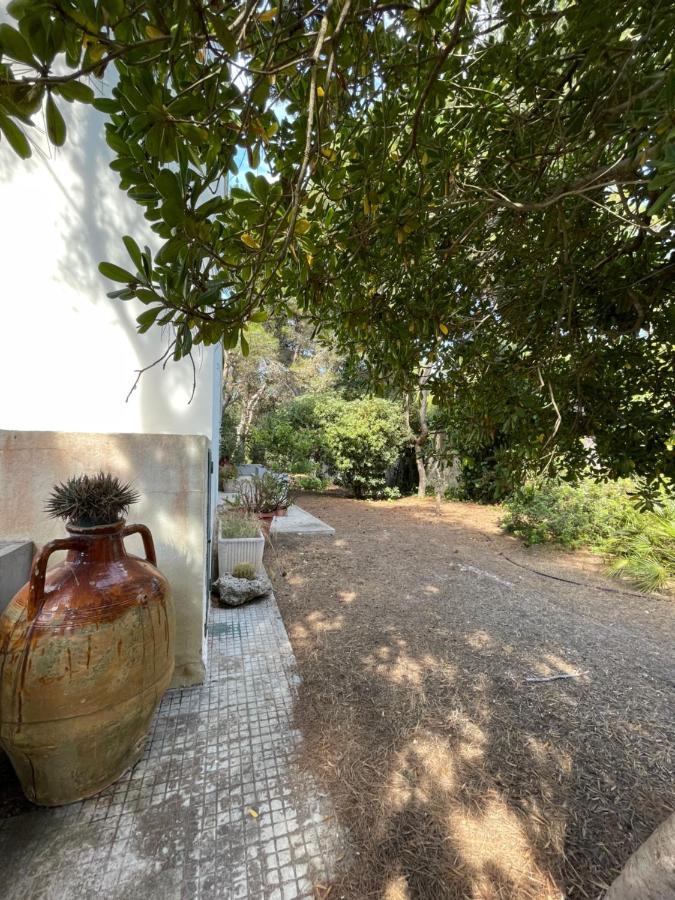 Villa Emma Melendugno Εξωτερικό φωτογραφία