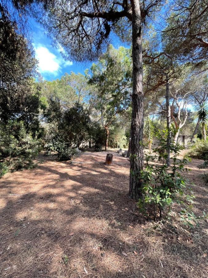 Villa Emma Melendugno Εξωτερικό φωτογραφία