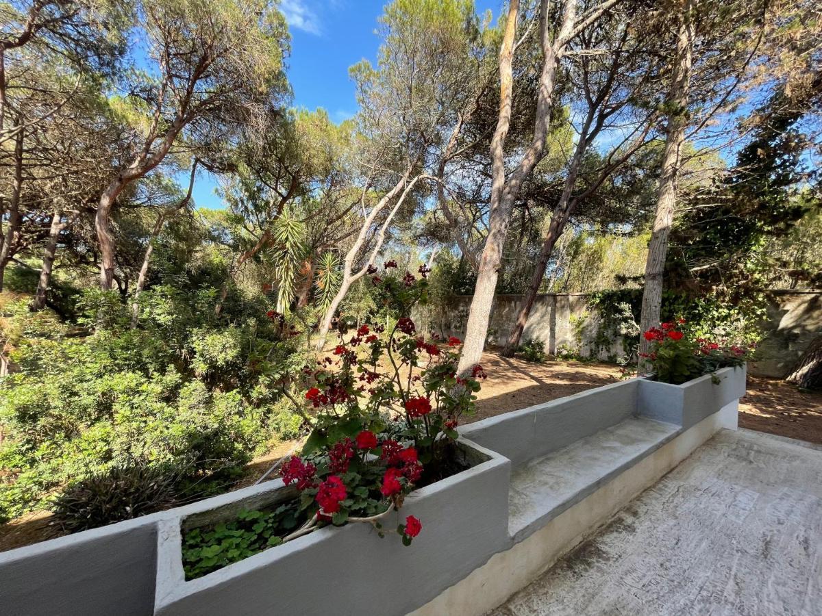 Villa Emma Melendugno Εξωτερικό φωτογραφία