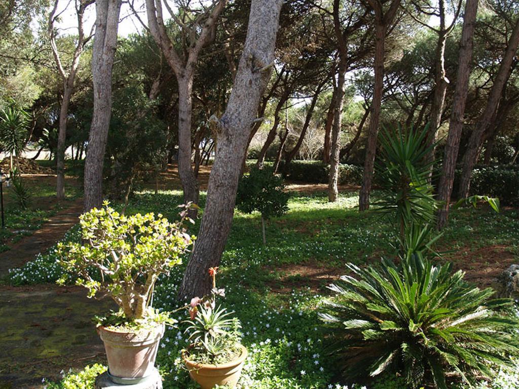 Villa Emma Melendugno Εξωτερικό φωτογραφία